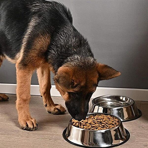 Go İthalat Köpek Mama ve Su Kapları